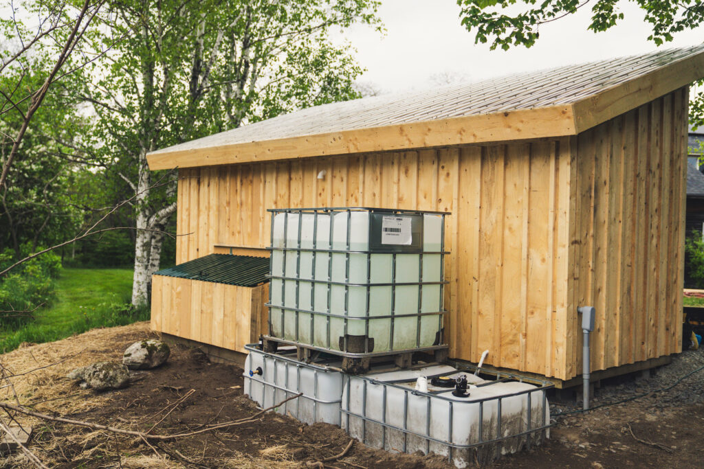 2025.05-WildSugar-26