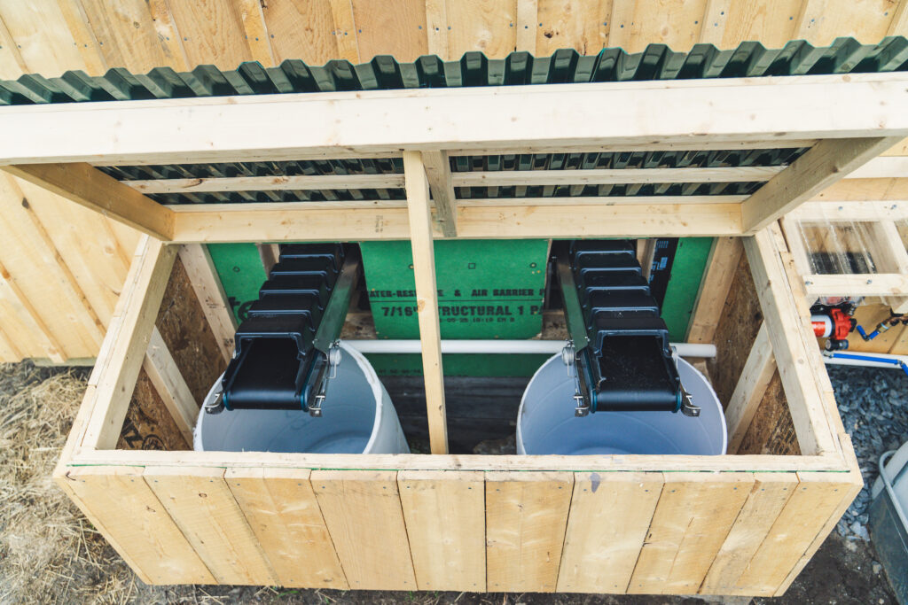 2025.05-WildSugar-27