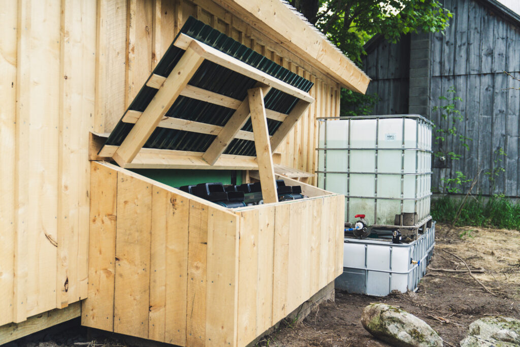 2025.05-WildSugar-28