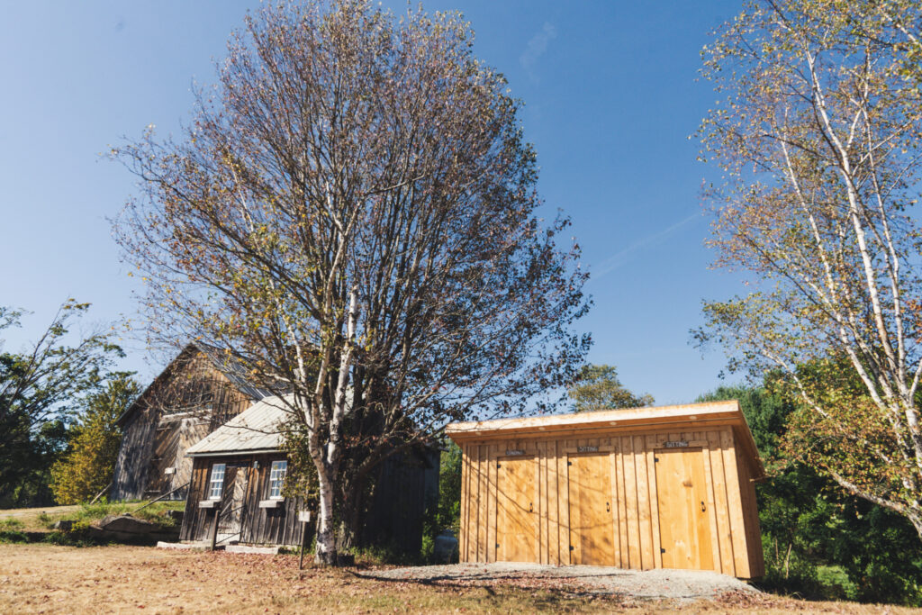 2025.05-WildSugar-40