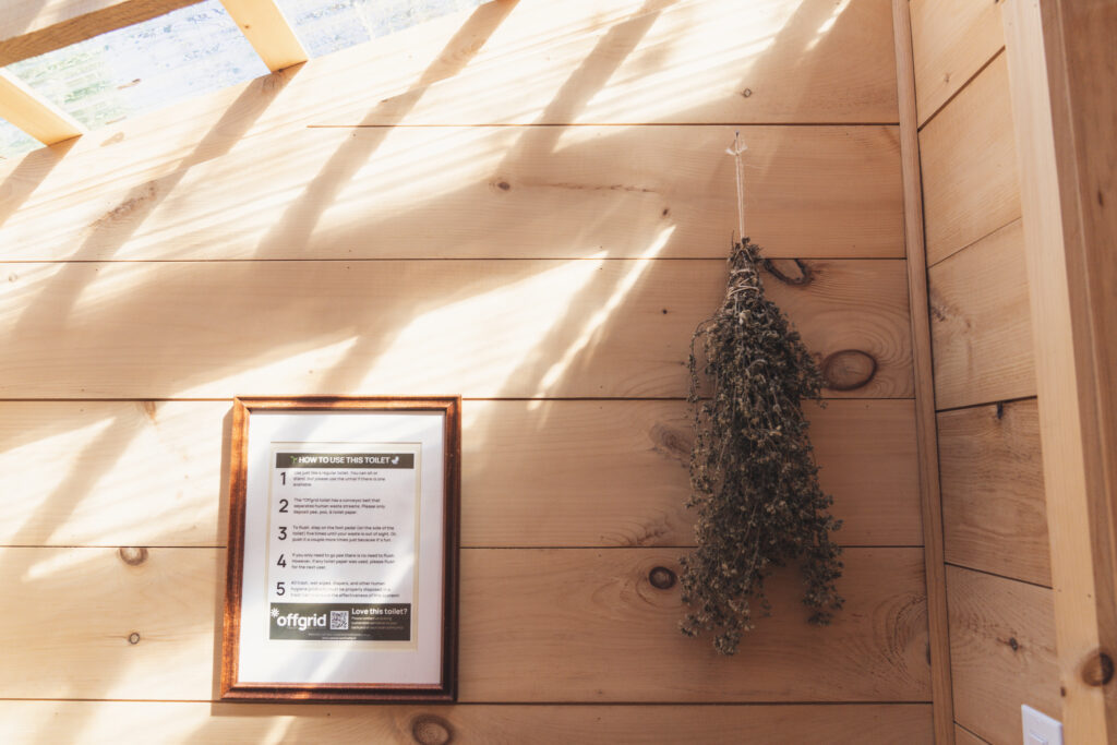 2025.05-WildSugar-53