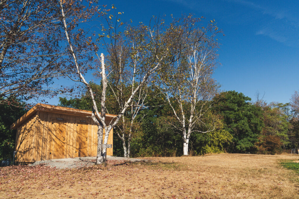 2025.05-WildSugar-60