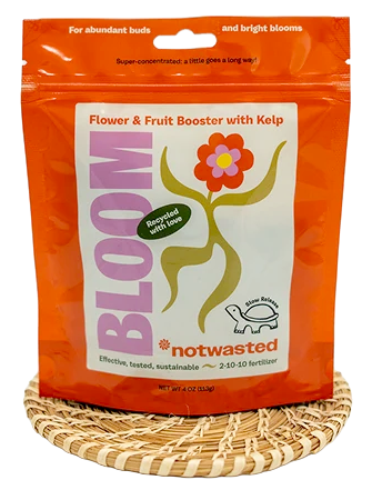 notwasted bloom